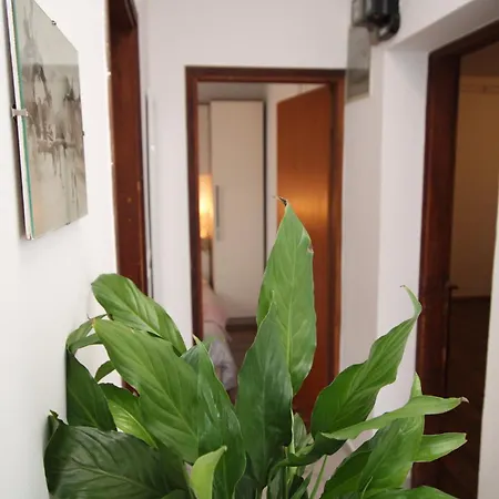 Alba Adria Apartment *